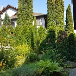 Hanna-Bella Apartman Zalakaros - Medence/kert