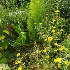 Hanna-Bella Apartman Zalakaros - Medence/kert