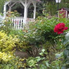 Haus Jeremias therme Zalakaros - Egyéb