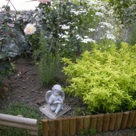 Haus Jeremias therme Zalakaros - Egyéb