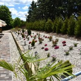 Hotel Forrás Zalakaros Zalakaros - Medence/kert