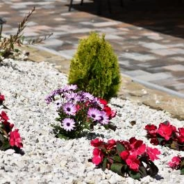 Hotel Forrás Zalakaros Zalakaros - Medence/kert