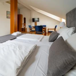 Hotel Forrás Zalakaros Zalakaros - Szobák