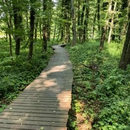 Hunguest Hotel Freya Zalakaros - Egyéb