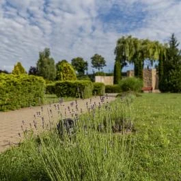 Hotel Karos Spa Zalakaros - Medence/kert