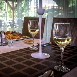 Hotel Vital Zalakaros - Vendéglátás