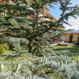 Hotel Vital Zalakaros - Medence/kert