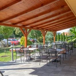 Hotel Vital Zalakaros - Medence/kert