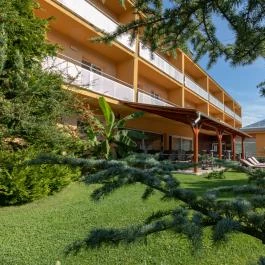 Hotel Vital Zalakaros - Medence/kert