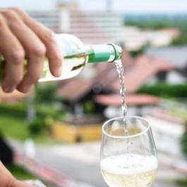 Irisz Hillside Apartman Zalakaros - Egyéb