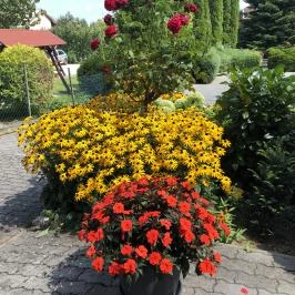 József Apartman Zalakaros - Egyéb