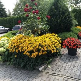 József Apartman Zalakaros - Medence/kert