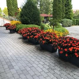 József Apartman Zalakaros - Egyéb