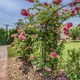 Laky Villa Zalakaros - Egyéb