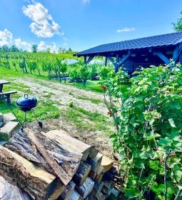 Szent Orbán Panzió Zalakaros - Kutyabarát apartmanok