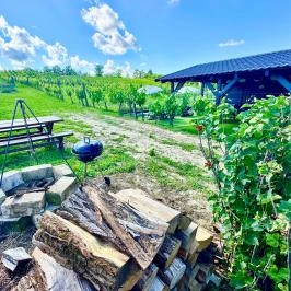 Szent Orbán Panzió Zalakaros - Kutyabarát apartmanok Zalakaros - Egyéb