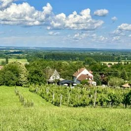 Szent Orbán Panzió Zalakaros - Kutyabarát apartmanok Zalakaros - Egyéb