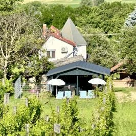 Szent Orbán Panzió Zalakaros - Kutyabarát apartmanok Zalakaros - Medence/kert