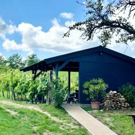 Szent Orbán Panzió Zalakaros - Kutyabarát apartmanok Zalakaros - Medence/kert