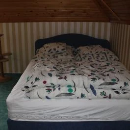 Orwa Vendégház Zalakaros - Szobák