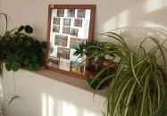 Papp Apartmanház Zalakaros