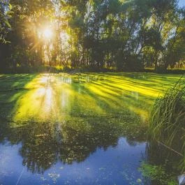 Park Inn by Radisson Zalakaros Resort & Spa Zalakaros - Egyéb