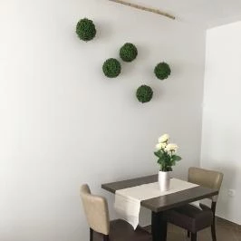 Regina Apartman Zalakaros - Egyéb
