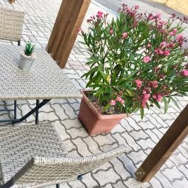Regina Apartman Zalakaros - Egyéb