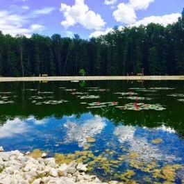 Regina Apartman Zalakaros - Egyéb