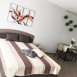 Regina Apartman Zalakaros - Egyéb