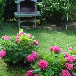 Rubin Apartman Zalakaros - Egyéb