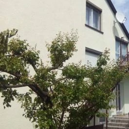 Vali Apartman Zalakaros - Egyéb