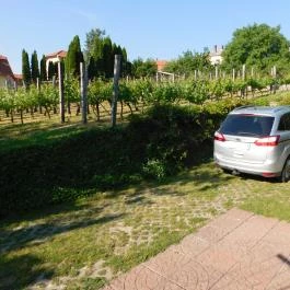 XXL Apartman Zalakaros - Egyéb