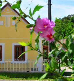 Kis-Balatoni Ökoporta