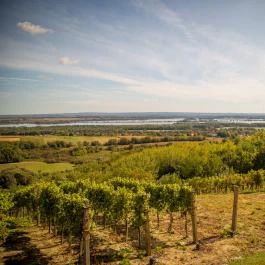 Zobori Panzió Zalaszabar - Egyéb