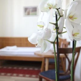 Hotel Corvinus Zalaszentgrót - Szobák