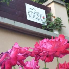 Gasthaus Gibizer Zamárdi - Egyéb
