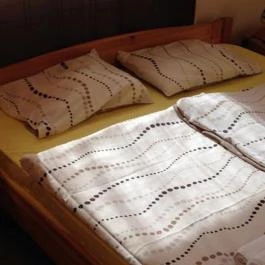 Retro Hotel Merid Zamárdi - Egyéb