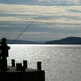 Retro Hotel Merid Zamárdi - Egyéb