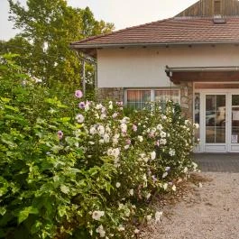 Hotel Platán Zamárdi - Belső