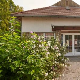 Hotel Platán Zamárdi - Belső