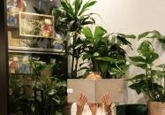 Hotel Wellamarin Zamárdi