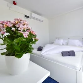 Zama Hotel Zamárdi - Szobák