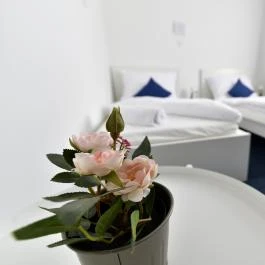 Zama Hotel Zamárdi - Szobák