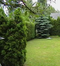 Zamárdi Zöldfa Vendégház