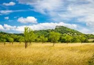 Káli-medence Zánka