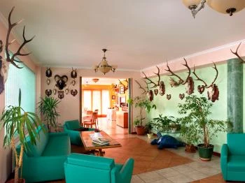 Hotel Hubertus Zebegény