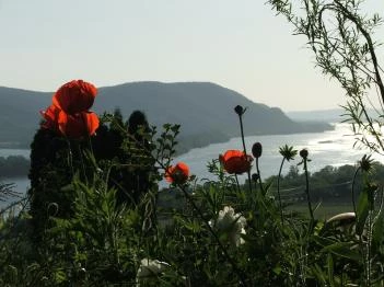 Mókus Ház Zebegény