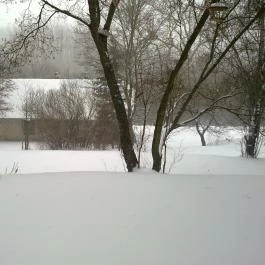 Naptanya Zebegény - Egyéb