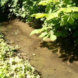 Völgy Nyaraló Zebegény - Környék